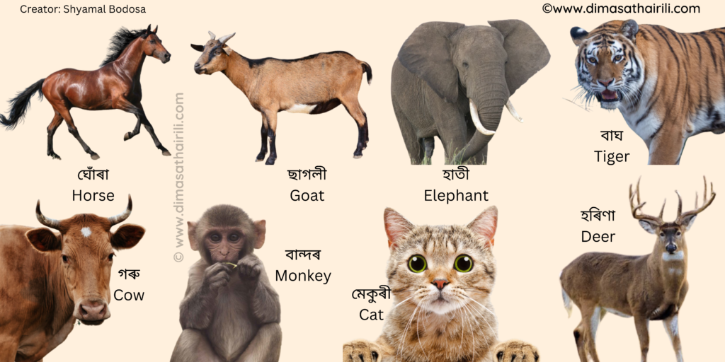 Animals name in assamese