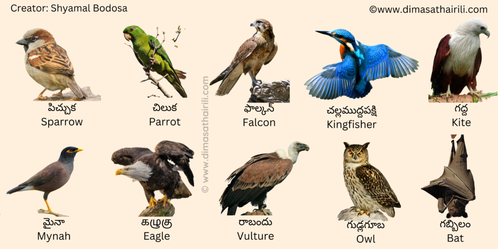 Birds name in Telugu